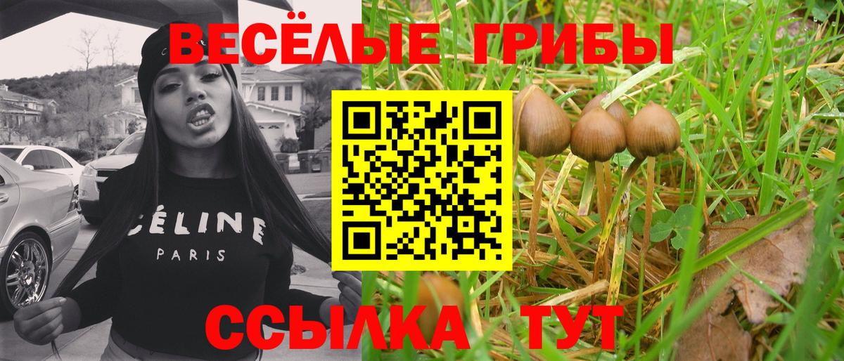 где найти наркотики  Галлюциногенные грибы MAGIC MUSHROOMS  Вход с VPN  Малоярославец 